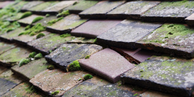 Shrawley roof repair costs